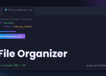 File Organizer Python project tutorial